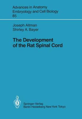 The Development of the Rat Spinal Cord