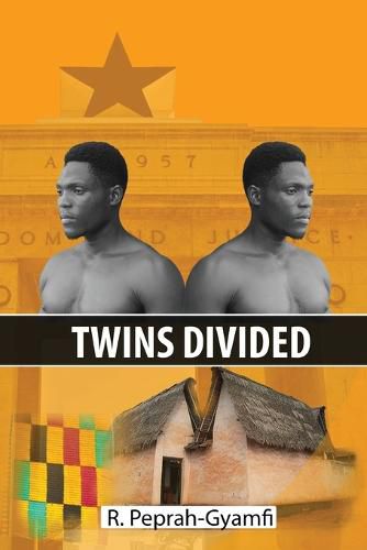 Cover image for Twins Divided