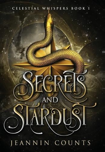 Cover image for Secrets and Stardust