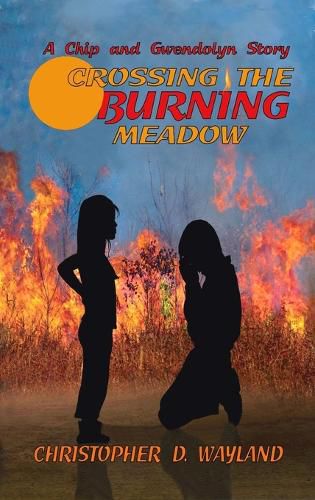 Cover image for Crossing the Burning Meadow