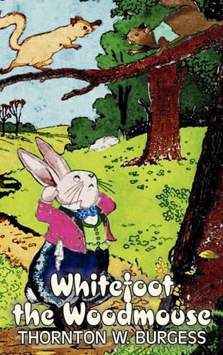 Cover image for Whitefoot the Woodmouse by Thornton Burgess, Fiction, Animals, Fantasy & Magic