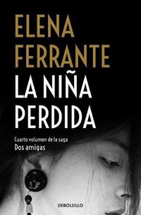 Cover image for La nina perdida / The Story of the Lost Child