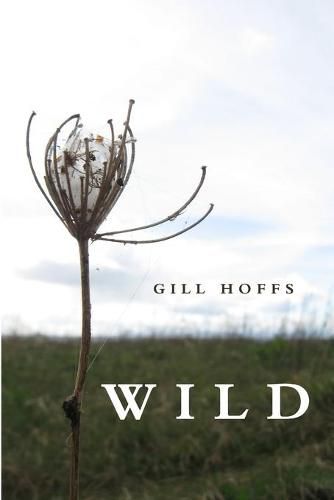 Cover image for Wild: a collection