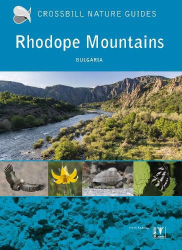 Cover image for Rhodope Mountains