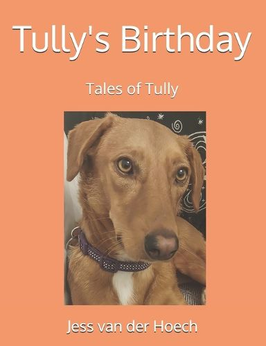 Cover image for Tully's Birthday