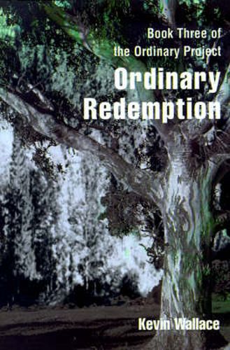 Cover image for Ordinary Redemption