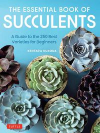 Cover image for The Essential Book of Succulents