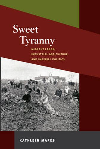 Cover image for Sweet Tyranny: Migrant Labor, Industrial Agriculture, and Imperial Politics