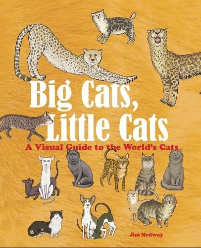 Big Cats, Little Cats: A Visual Guide to the World's Cats