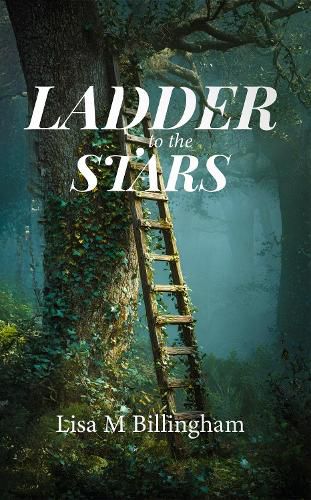 Cover image for Ladder to the Stars