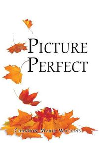 Cover image for Picture Perfect