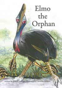 Cover image for Elmo the Orphan