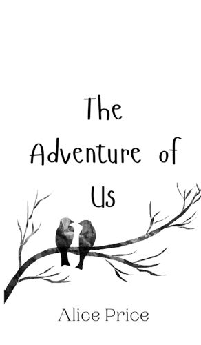 Cover image for The Adventure of Us