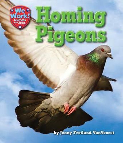 Homing Pigeons