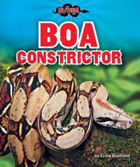 Cover image for Boa Constrictor