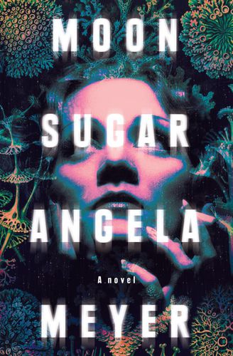 Cover image for Moon Sugar