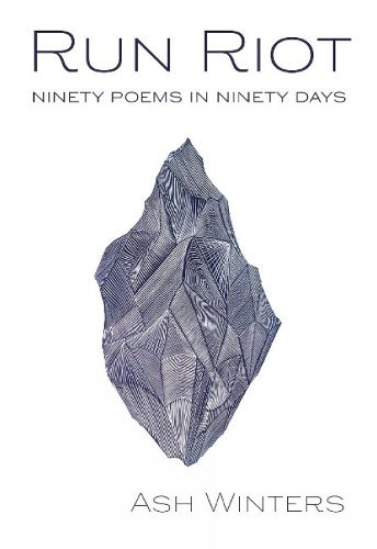 Cover image for Run Riot: Ninety Poems in Ninety Days