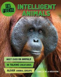 Cover image for In Focus: Intelligent Animals