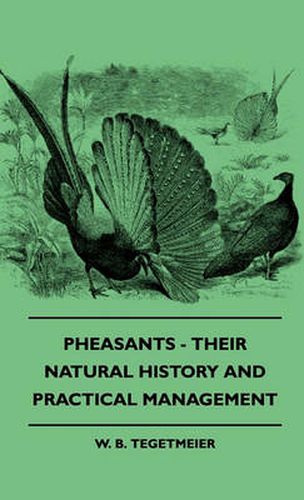 Cover image for Pheasants - Their Natural History And Practical Management