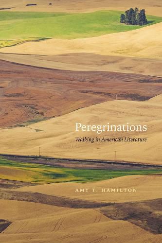 Cover image for Peregrinations: Walking in American Literature