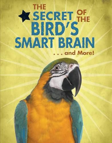 Cover image for The Secret of the Bird's Smart Brain...and More!