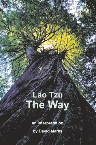 Cover image for The Way