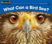 Cover image for What Can a Bird See? Leveled Text