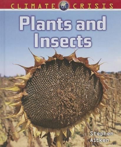 Cover image for Plants and Insects