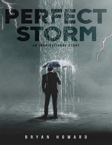 Cover image for The Perfect Storms