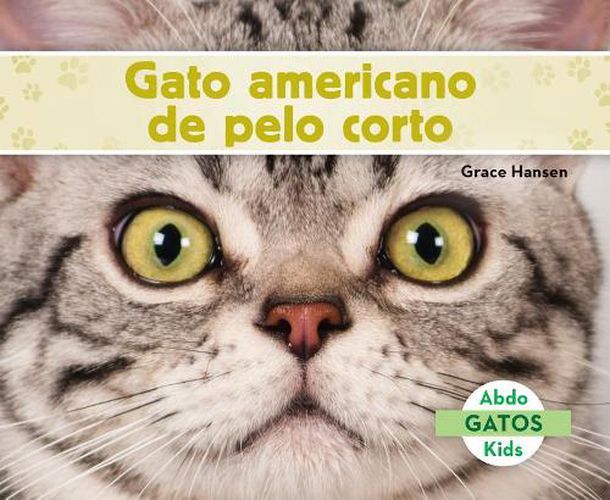 Cover image for Gato Americano De Pelo Corto/ American Shorthair Cats