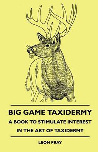 Cover image for Big Game Taxidermy - A Book To Stimulate Interest In The Art Of Taxidermy