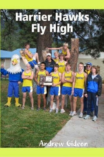 Cover image for Harrier Hawks Fly High