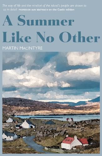 Cover image for A Summer Like No Other