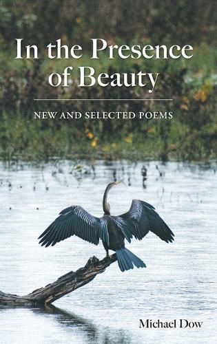 Cover image for In the Presence of Beauty