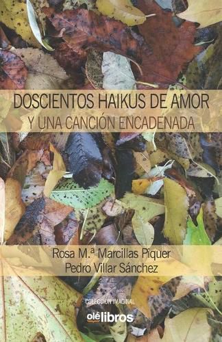 Cover image for Doscientos haikus de amor y una cancion encadenada