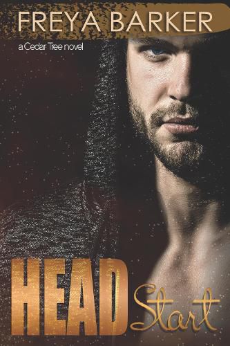 Cover image for Head Start: a Cedar Tree novel