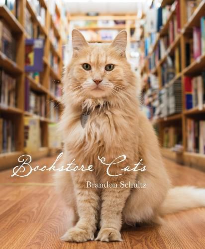 Cover image for Bookstore Cats