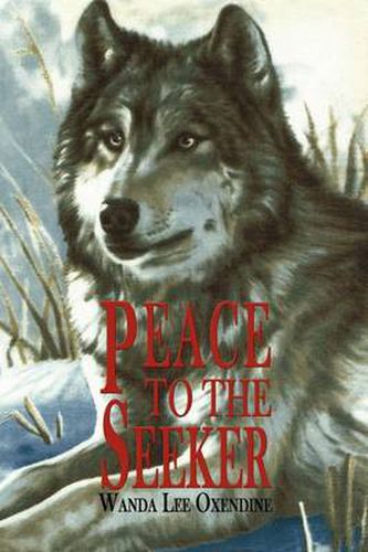 Cover image for Peace to the Seeker