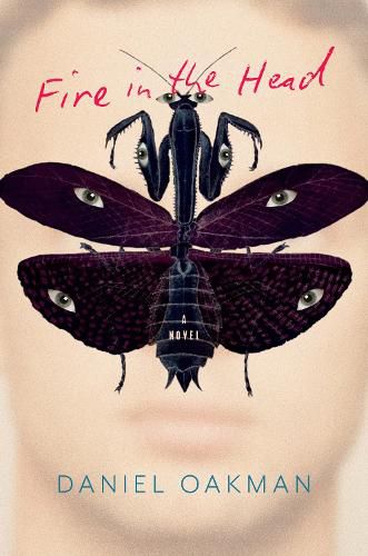 Cover image for Fire in the Head