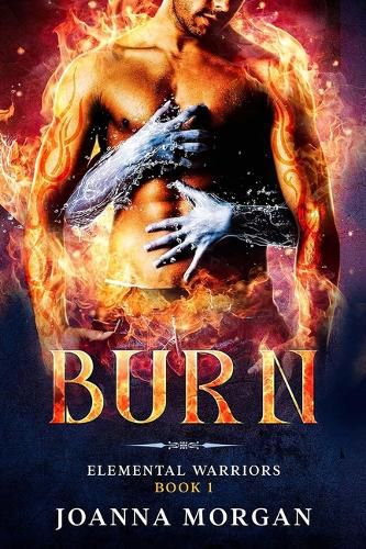 Cover image for Burn