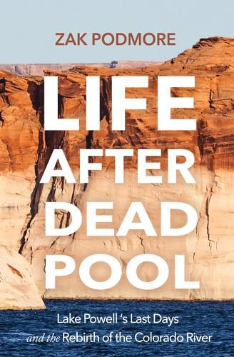 Cover image for Life After Dead Pool