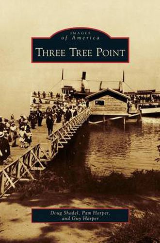 Cover image for Three Tree Point