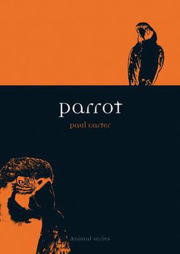Cover image for Parrot