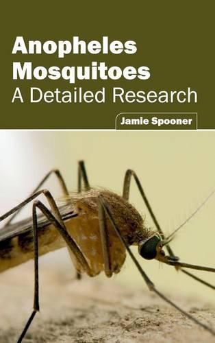 Cover image for Anopheles Mosquitoes: A Detailed Research