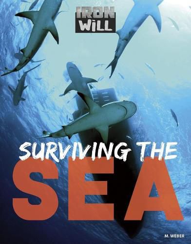 Cover image for Surviving the Sea