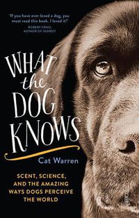 Cover image for What the dog knows: scent, science, and the amazing ways dogs perceive the world