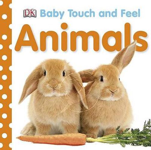 Cover image for Baby Touch and Feel: Animals