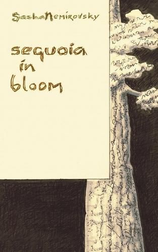 Cover image for Sequoia in Bloom