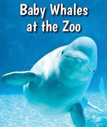 Cover image for Baby Whales at the Zoo