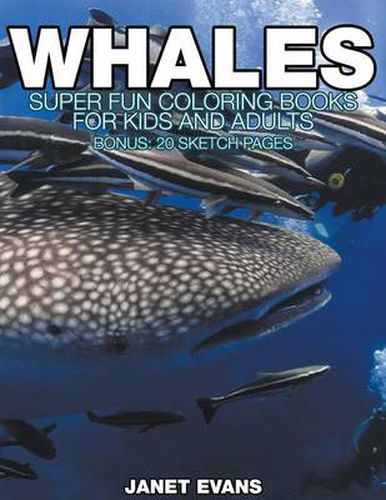 Cover image for Whales: Super Fun Coloring Books For Kids And Adults (Bonus: 20 Sketch Pages)